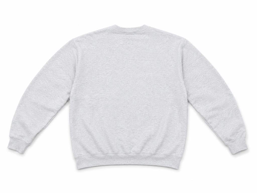 Gray Sweatshirt